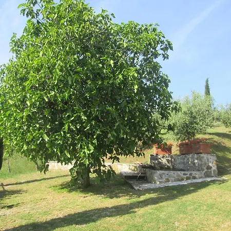 Belvilla By Oyo Pratini Castelnuovo di Val di Cecina
